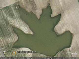 Lake looks like a leaf