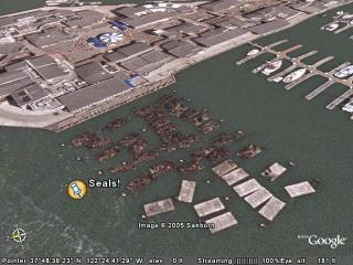 Seals!