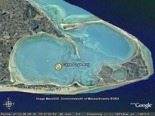 Cape Poge Bay