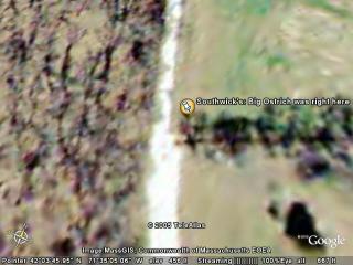 Southwick's: Big Ostrich was right here