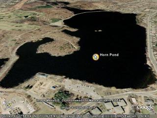 Horn Pond