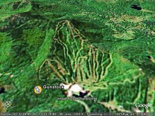 Gunstock