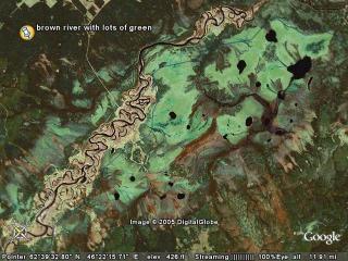 brown river with lots of green