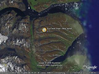 Surreal liver-like land